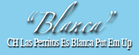 CH Las Perrios Es Blanca Put Em Up "Blanca"